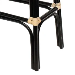 Set Of 2 Indah Rattan Backless Barstool, Black Online Discount